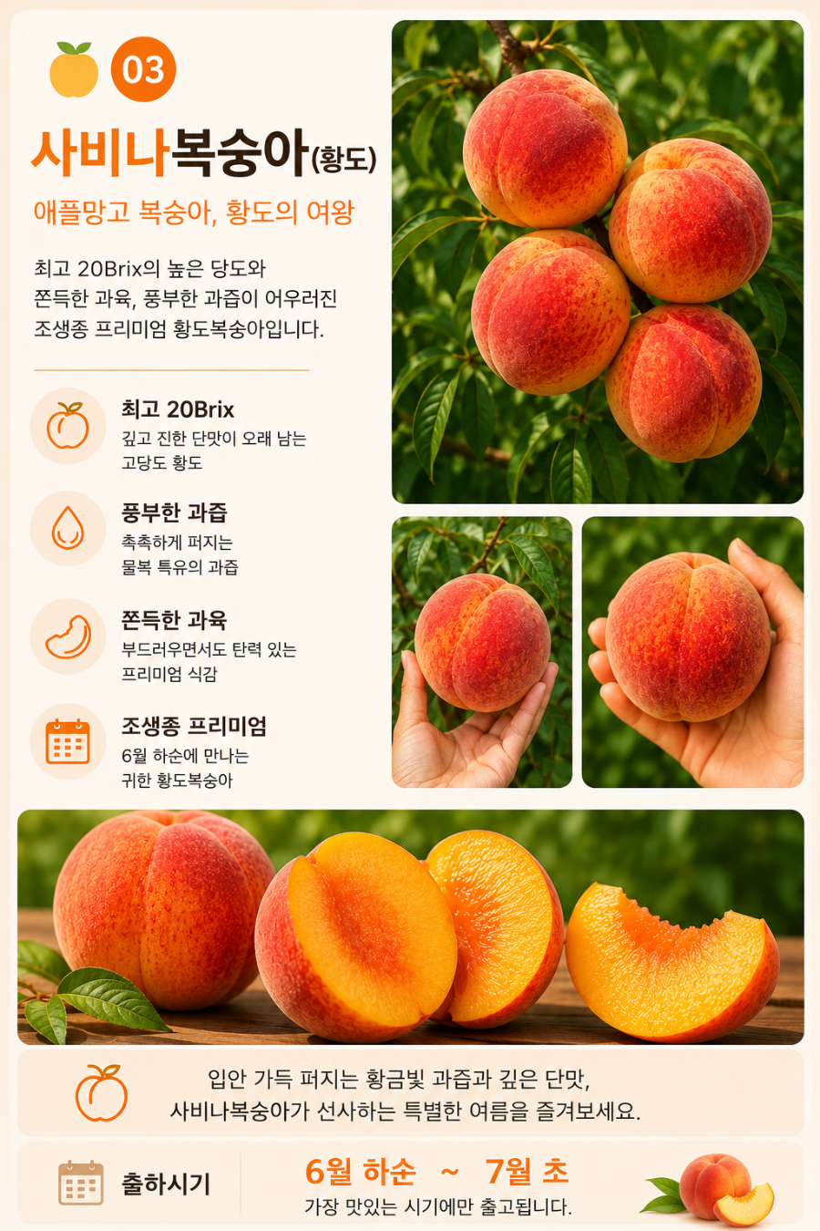 ChatGPT Image 2026년 7월 10일 오후 01_42_14.png