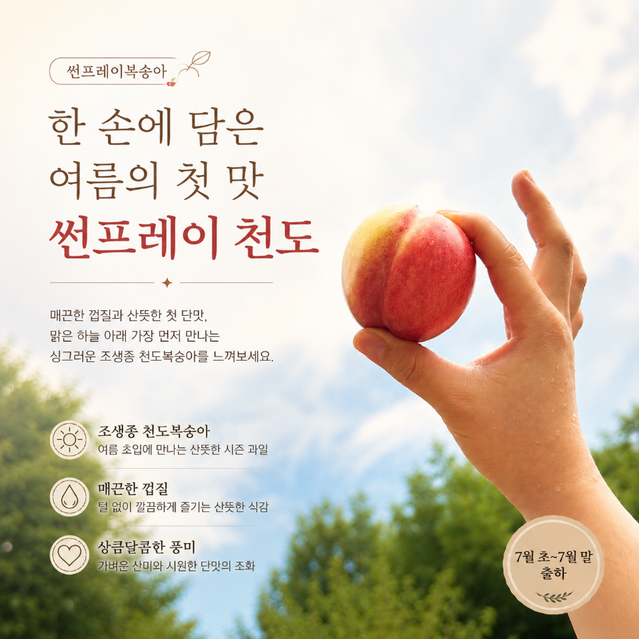 ChatGPT Image 2026년 7월 14일 오후 03_04_10.png