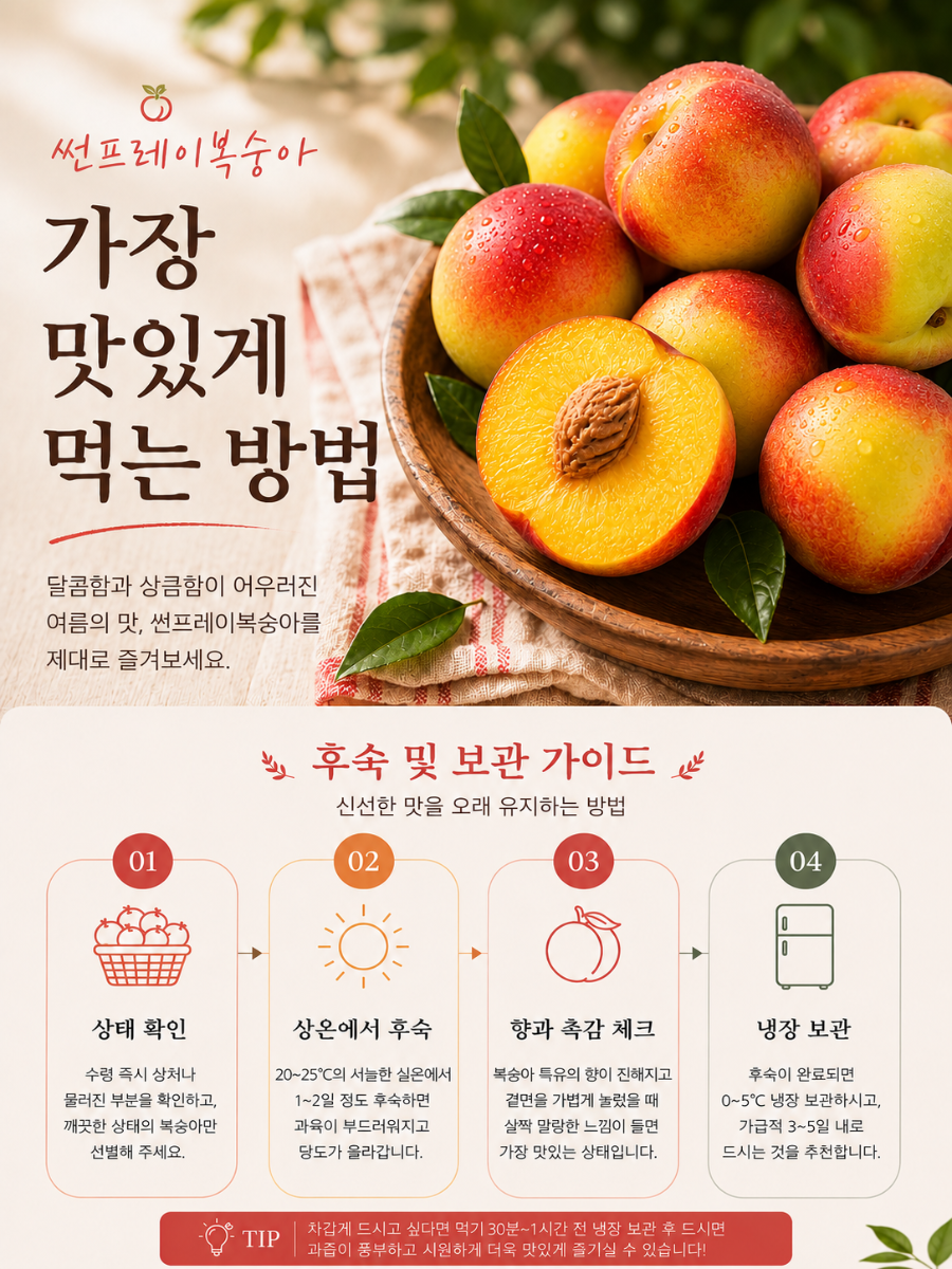 ChatGPT Image 2026년 7월 14일 오후 02_34_29.png