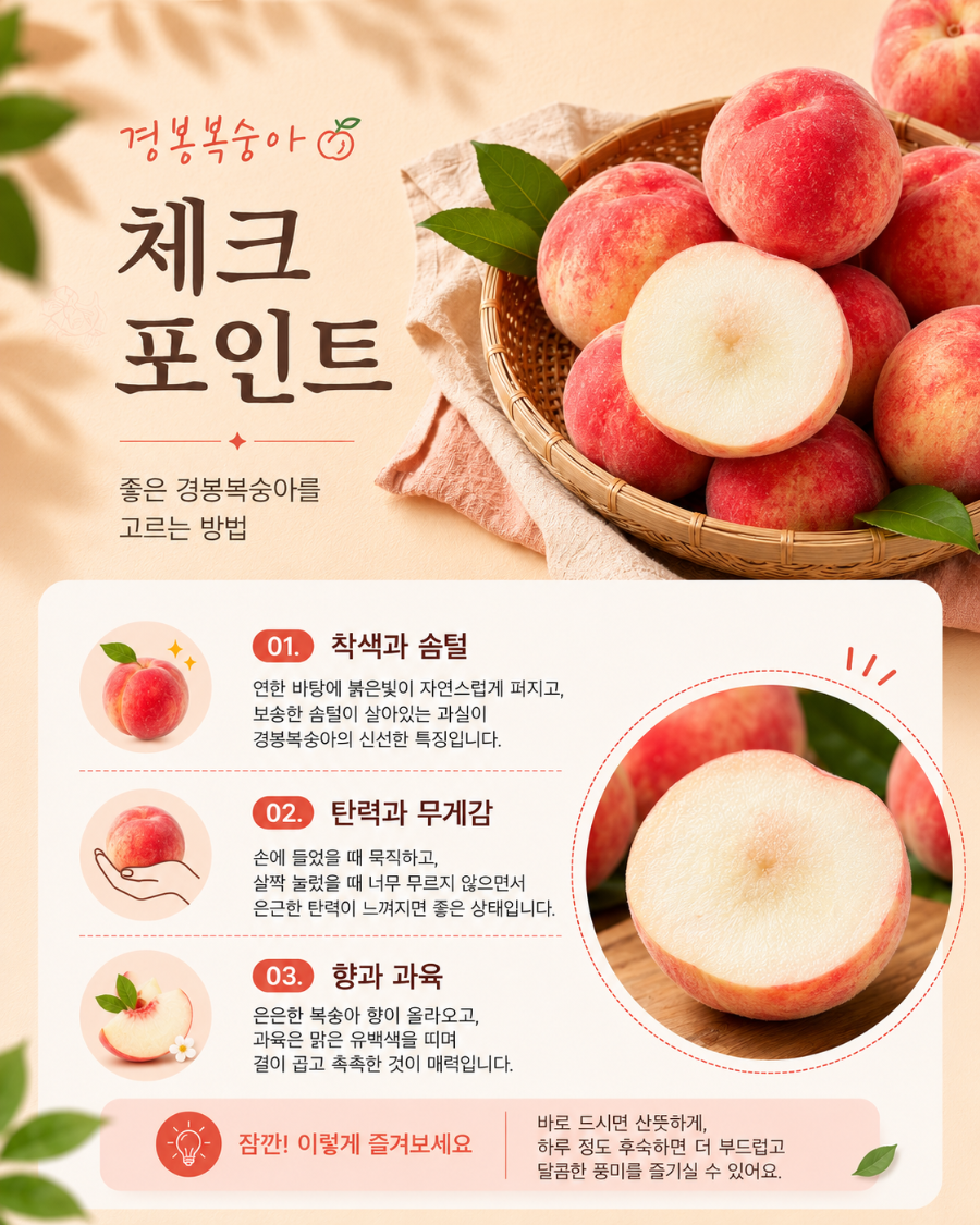 ChatGPT Image 2026년 7월 22일 오후 02_14_57.png