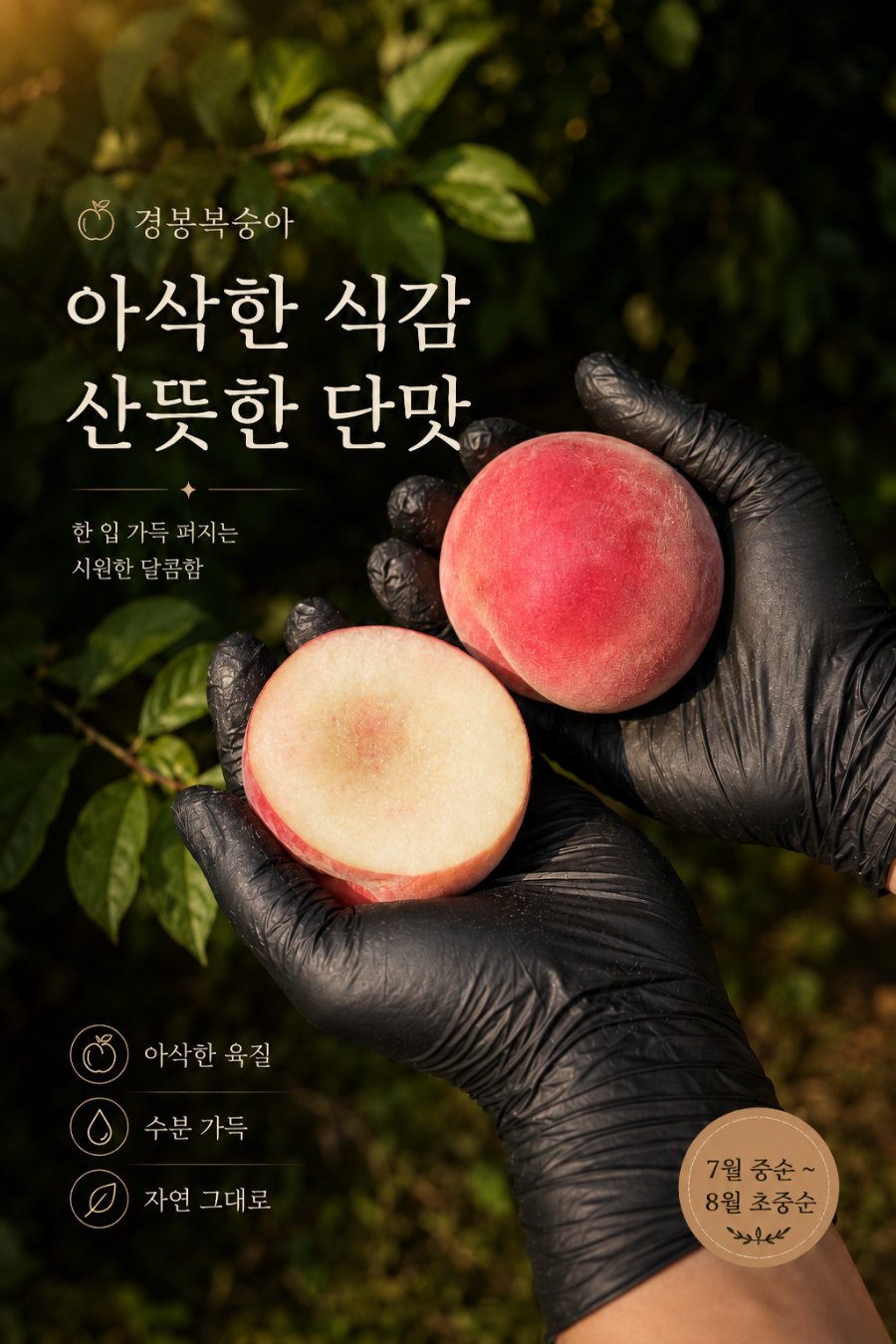 ChatGPT Image 2026년 7월 22일 오후 02_33_51.png